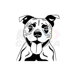 American Staffordshire Terrier