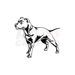 Staffordshire Bull Terrier