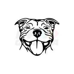 Staffordshire Bull Terrier